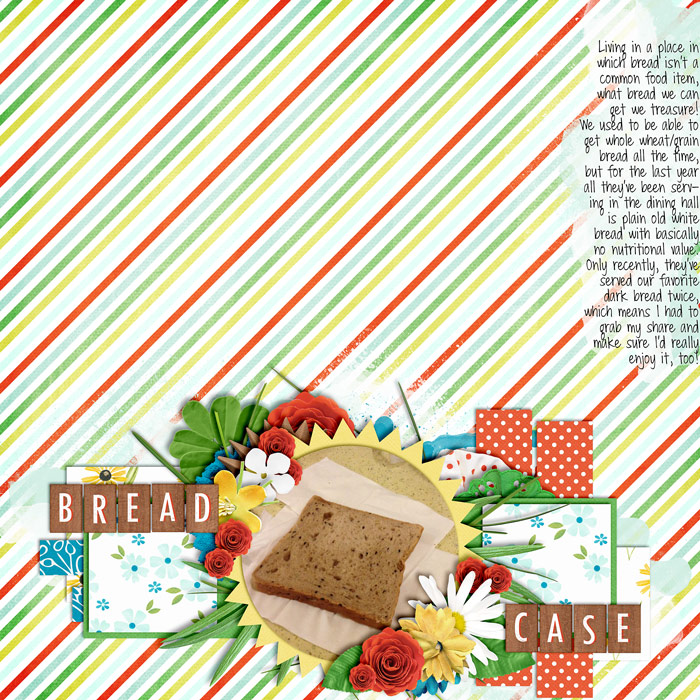 The Bread Case
