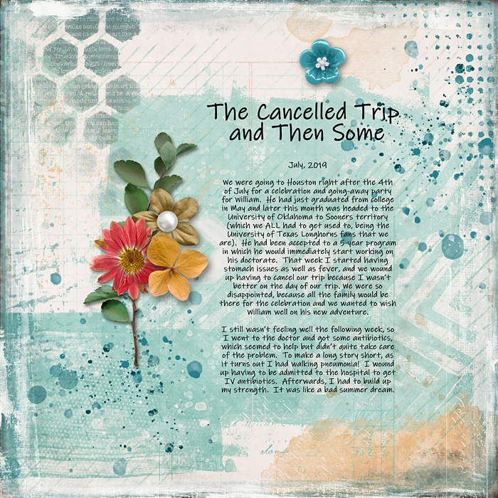 The Cancelled Trip and Then Some
