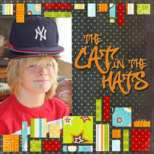 THE CAT IN THE HATS