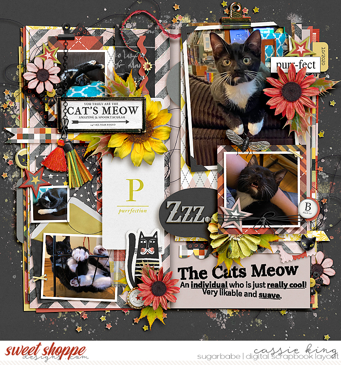 The Cat's Meow