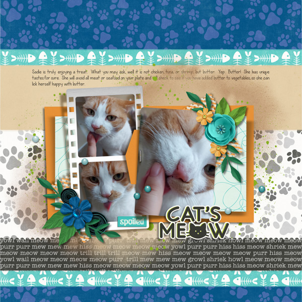 The Cat's Meow