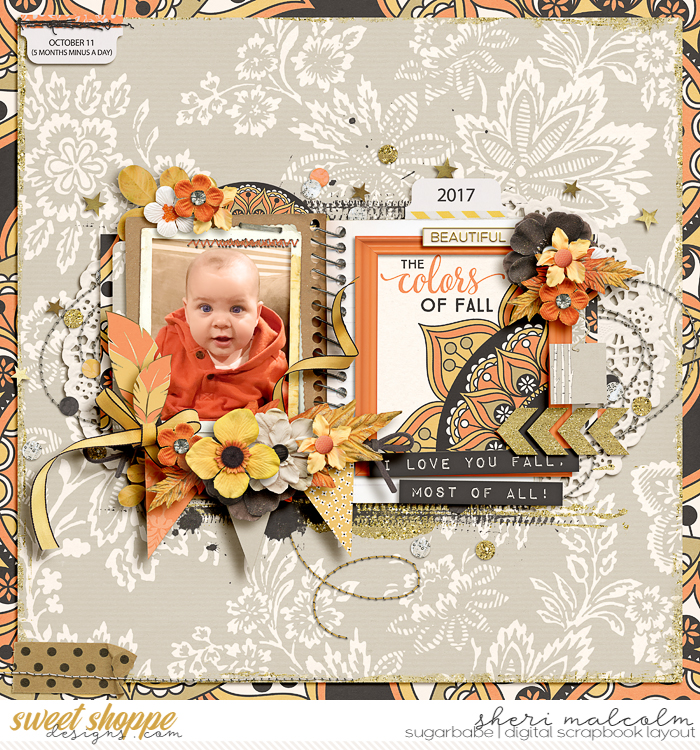The colors of fall