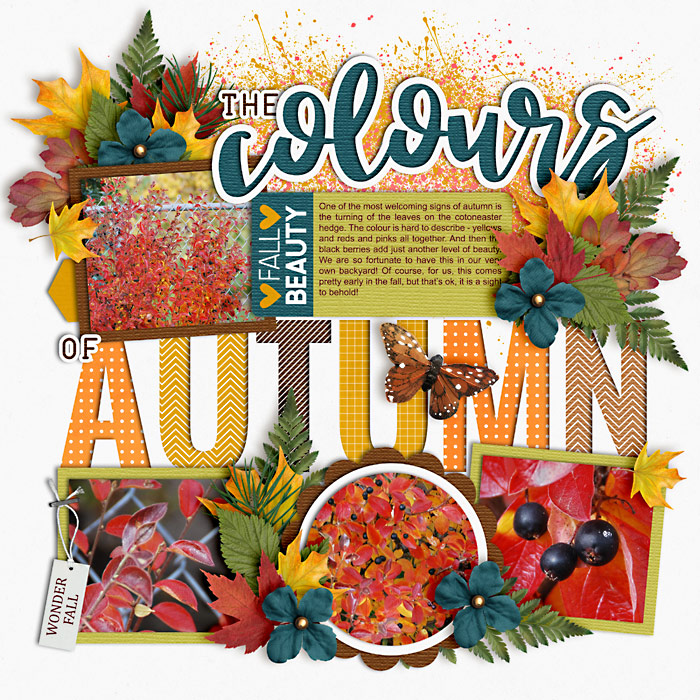 The Colours of Autumn