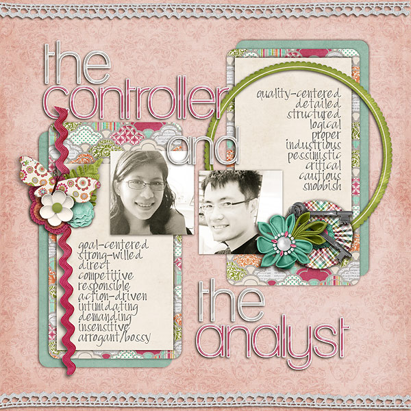 the controller & the analyst