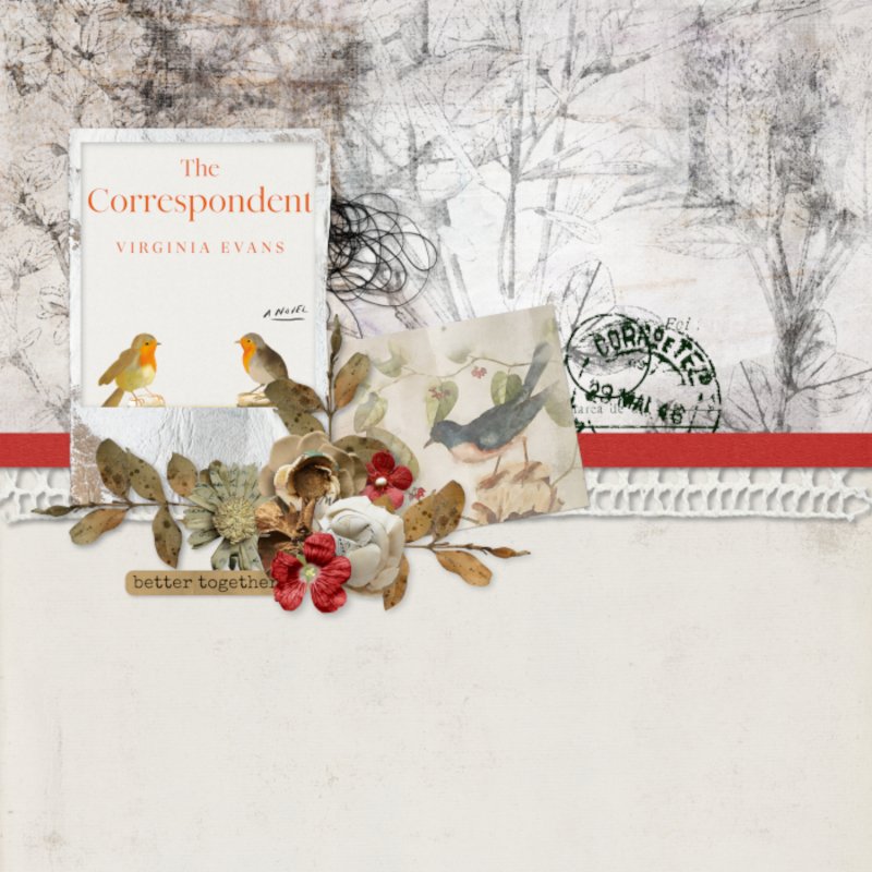 The correspondent by Virginia Evans.jpg