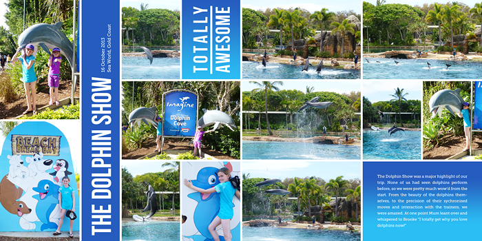 The dolphin show