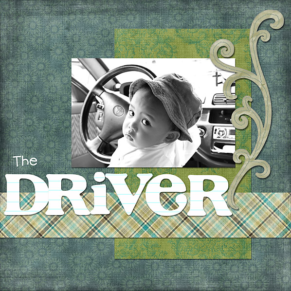 The Driver