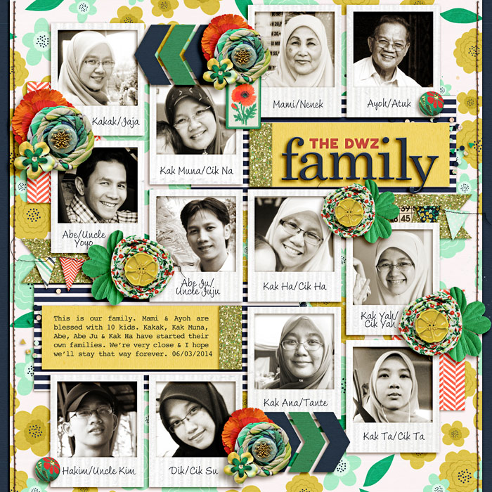 The DWZ Family