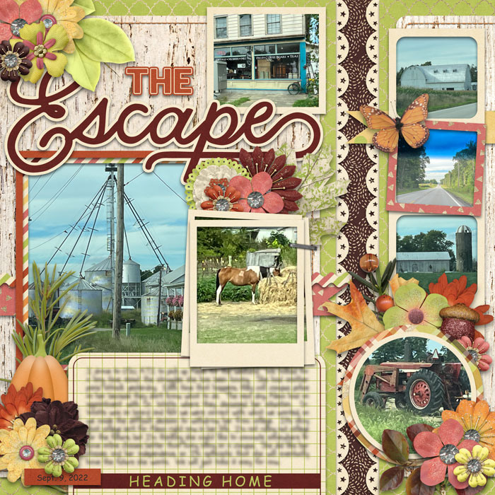 The Escape