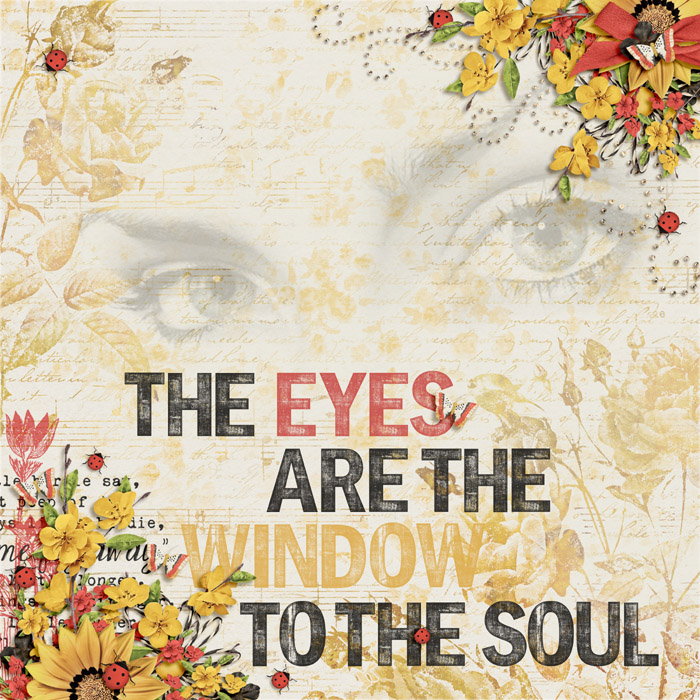 The eyes are the window to the soul