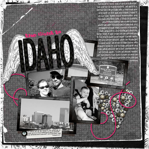 The Flight To Idaho