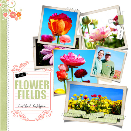 The Flower Fields