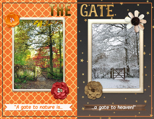 The Gate