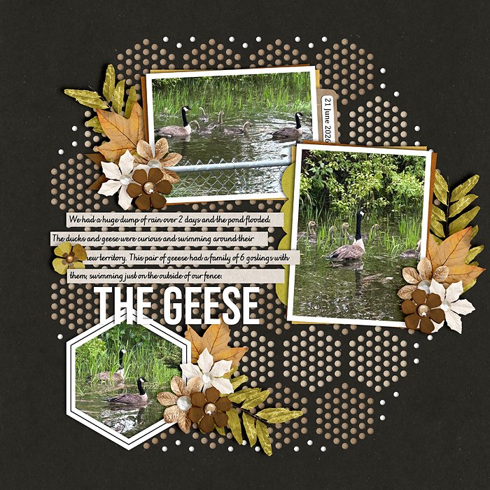 The Geese