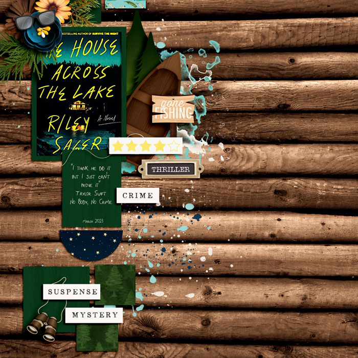 The House Across the Lake book review