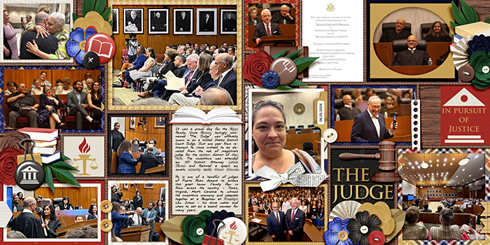 The Judge