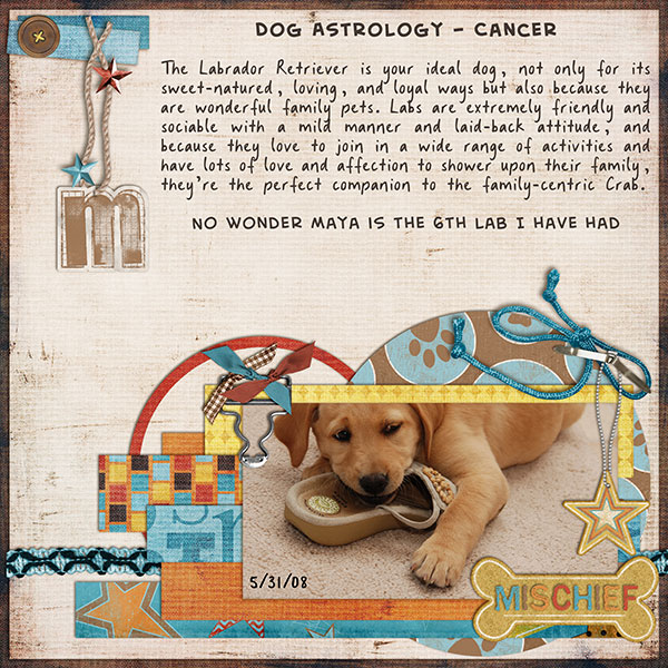 The Labrador Retriever