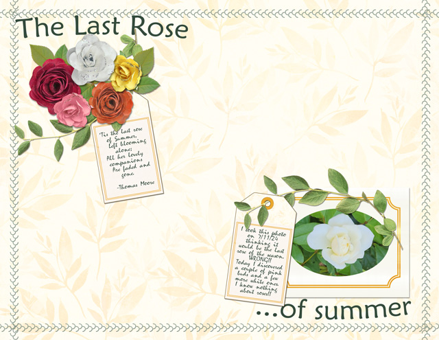 The Last Rose of Summer