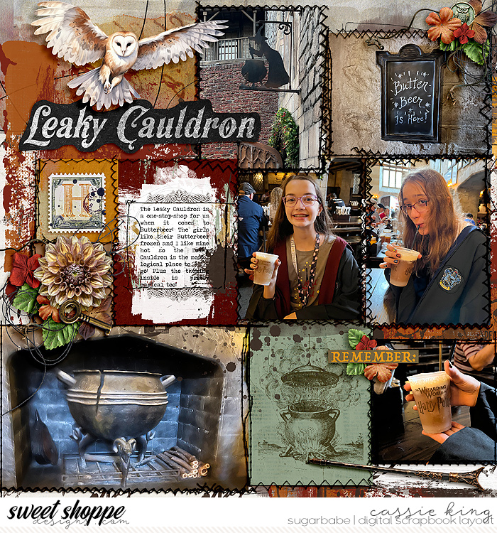 The Leaky Cauldron