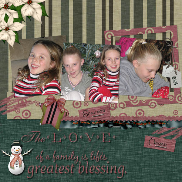The Love of the Family