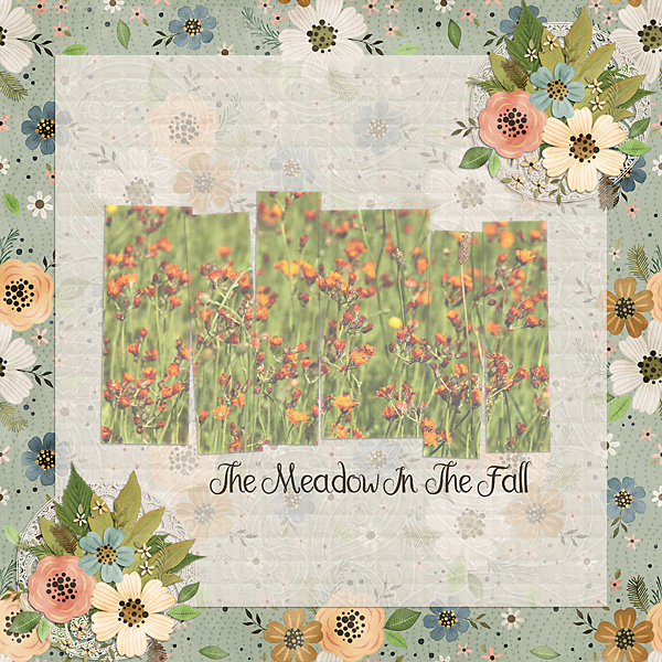 The Meadow In The Fall
