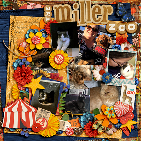 the Miller Zoo