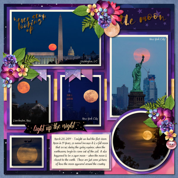 The Moon