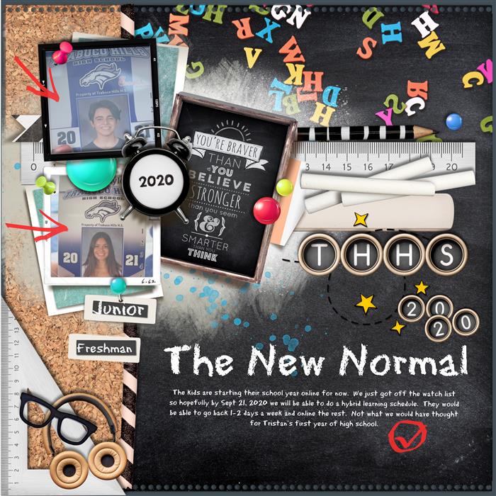 THE NEW NORMAL