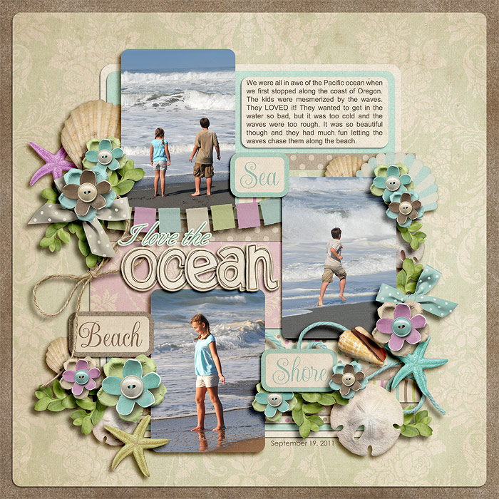 The Ocean