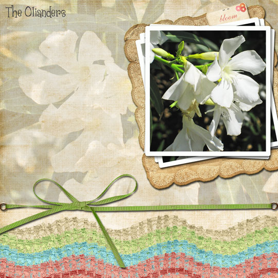 The Olianders