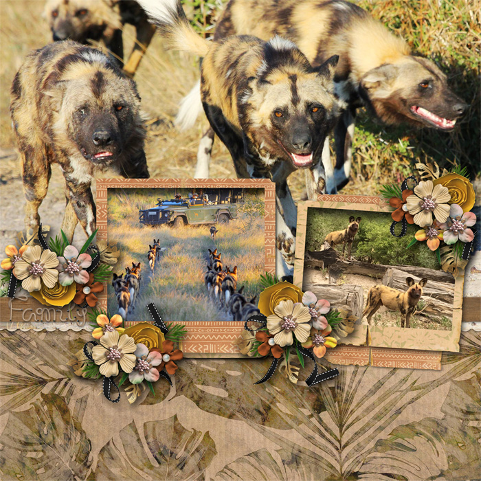 The Pack