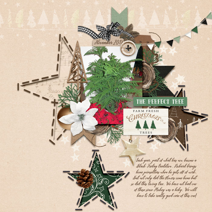 The Perfect Tree November 2018