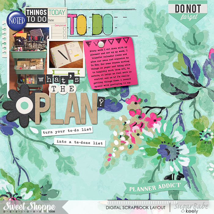 The Plan