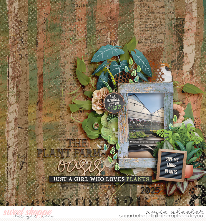 The Plant Farm Oasis
