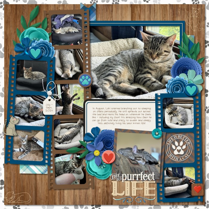 The Purrfect Life