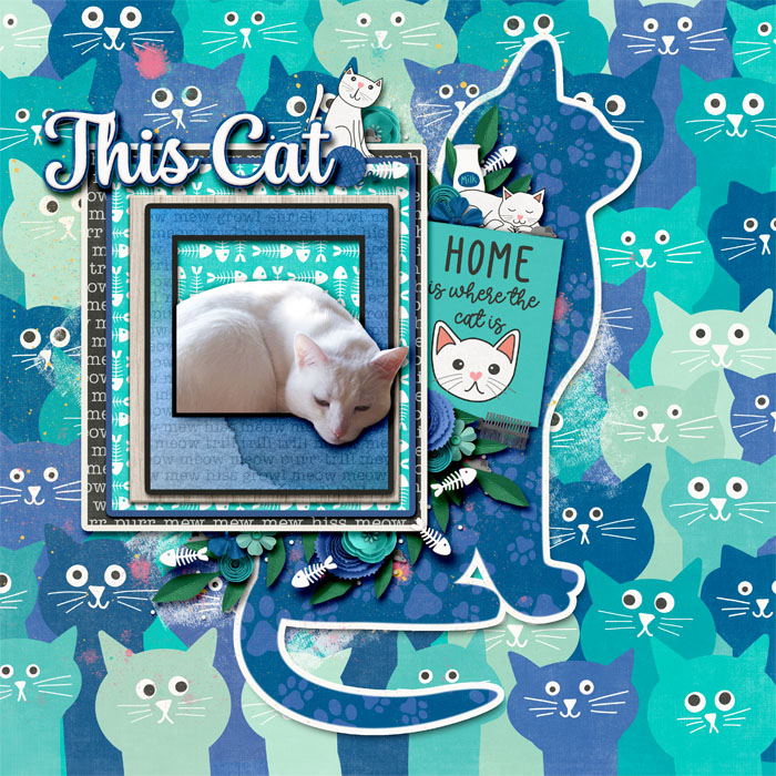 The Puurfect Kit