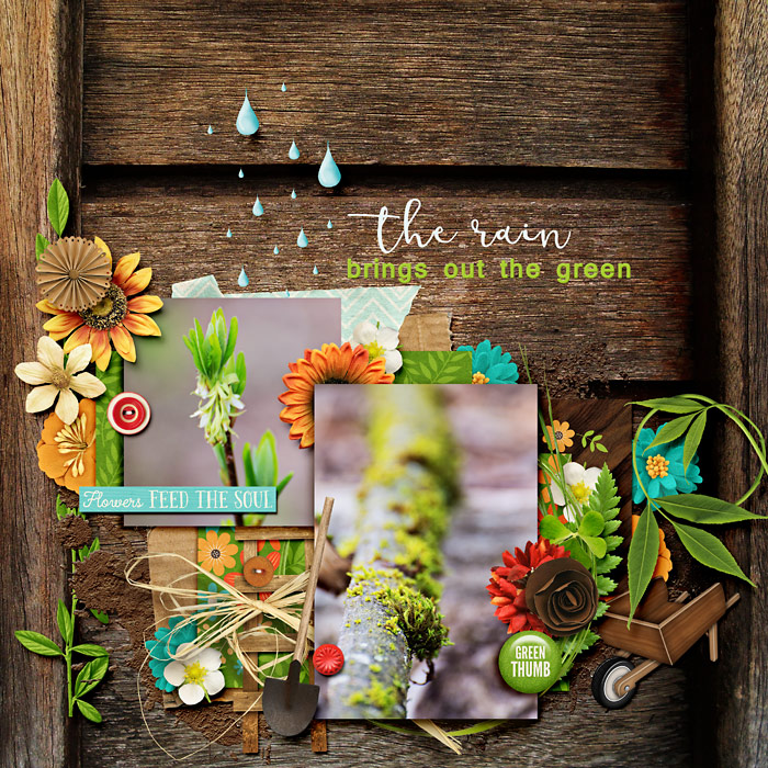 The Rain