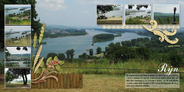 The Rhine