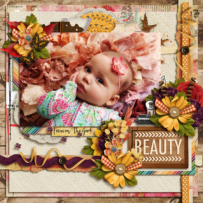 The Seasons Fall