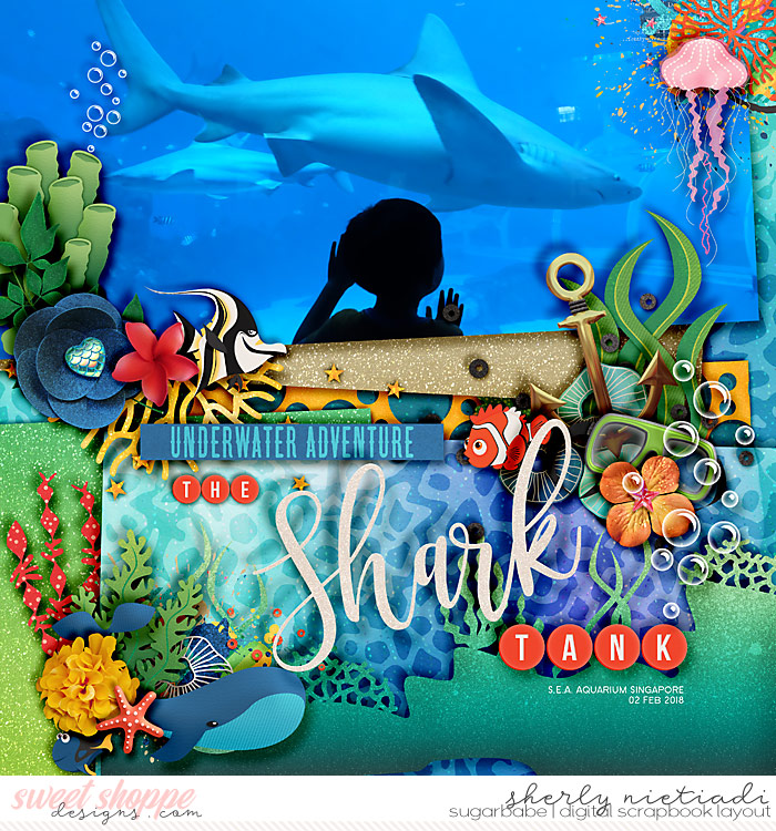 the shark tank