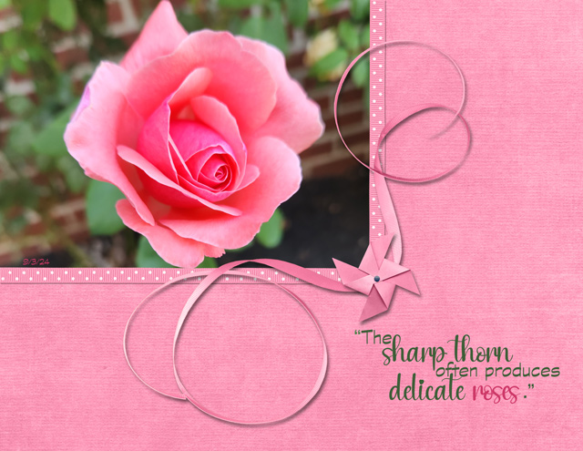 The Sharp Thorn