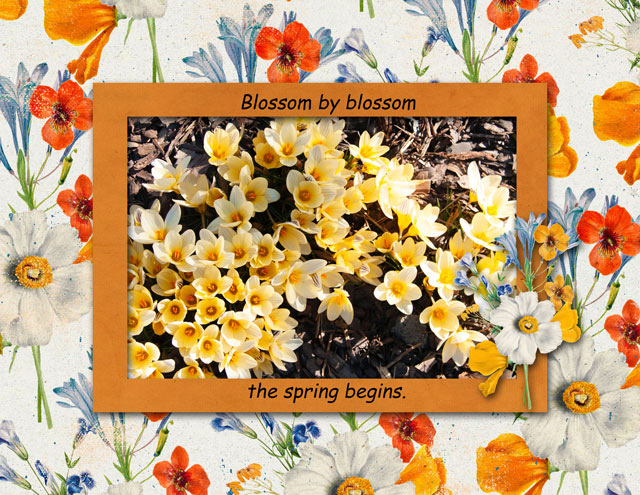 the spring begins