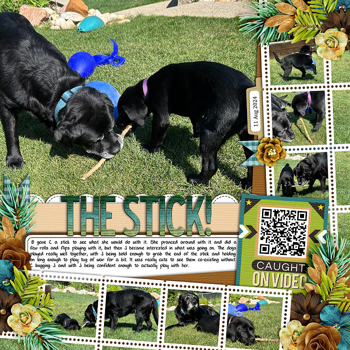 The Stick!