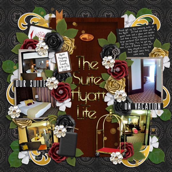 The Suite Hyatt Life