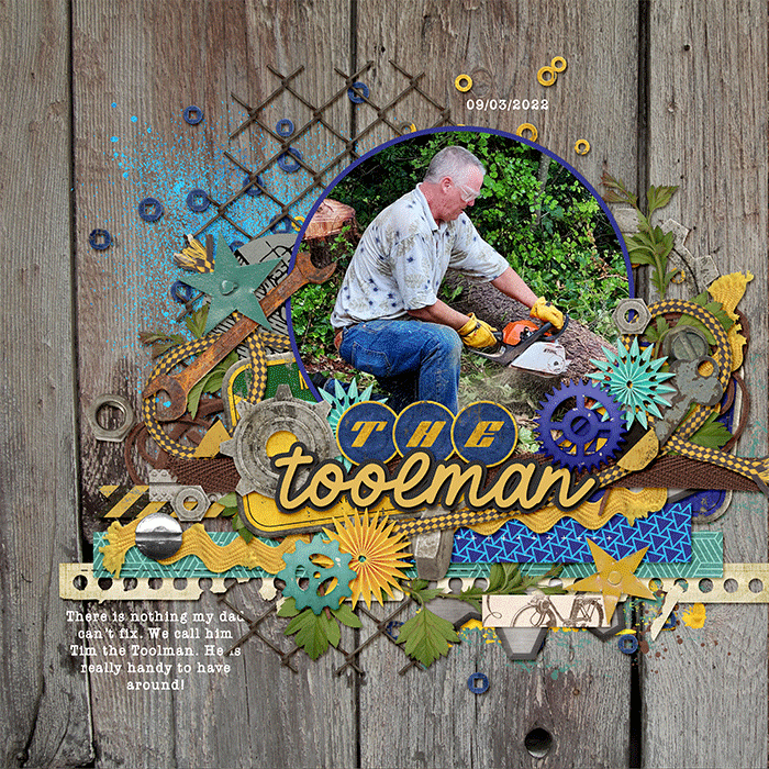 The Toolman