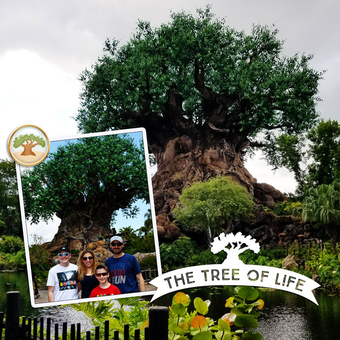 The Tree of Life