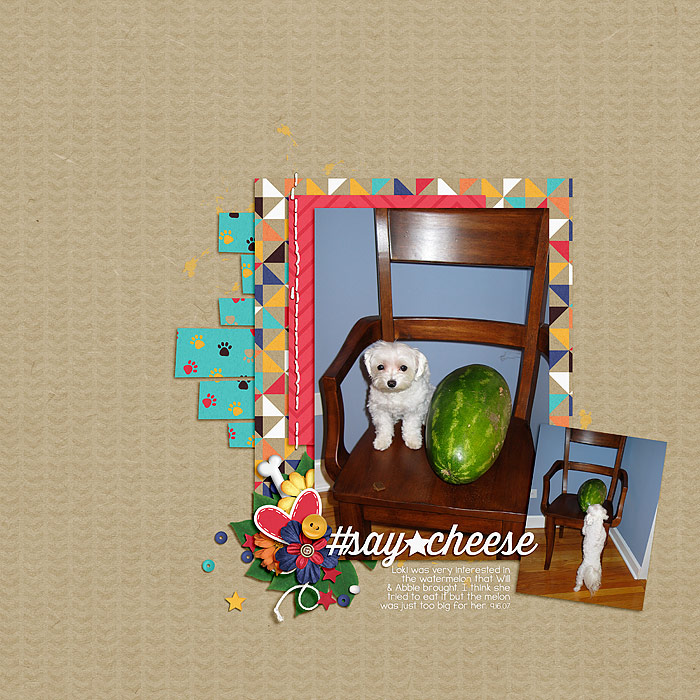 The Watermelon