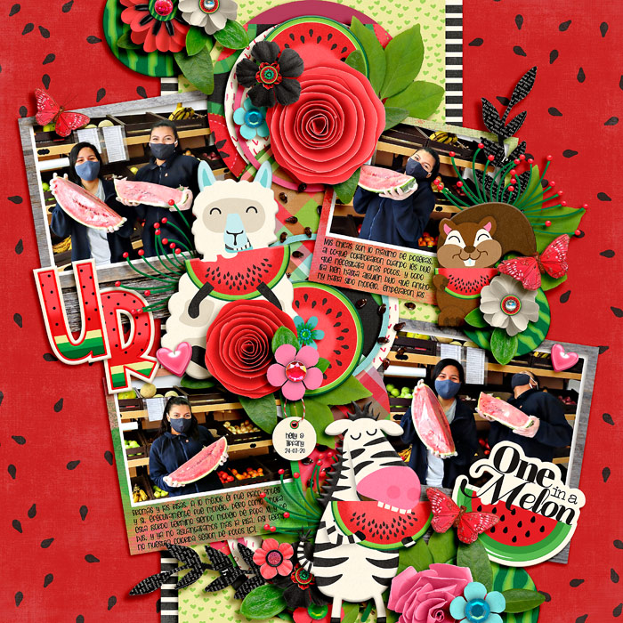 the watermelons