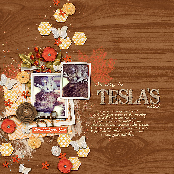 The Way to Tesla's Heart