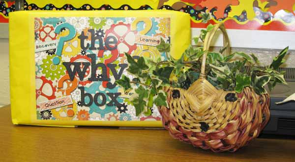 The Why? Box